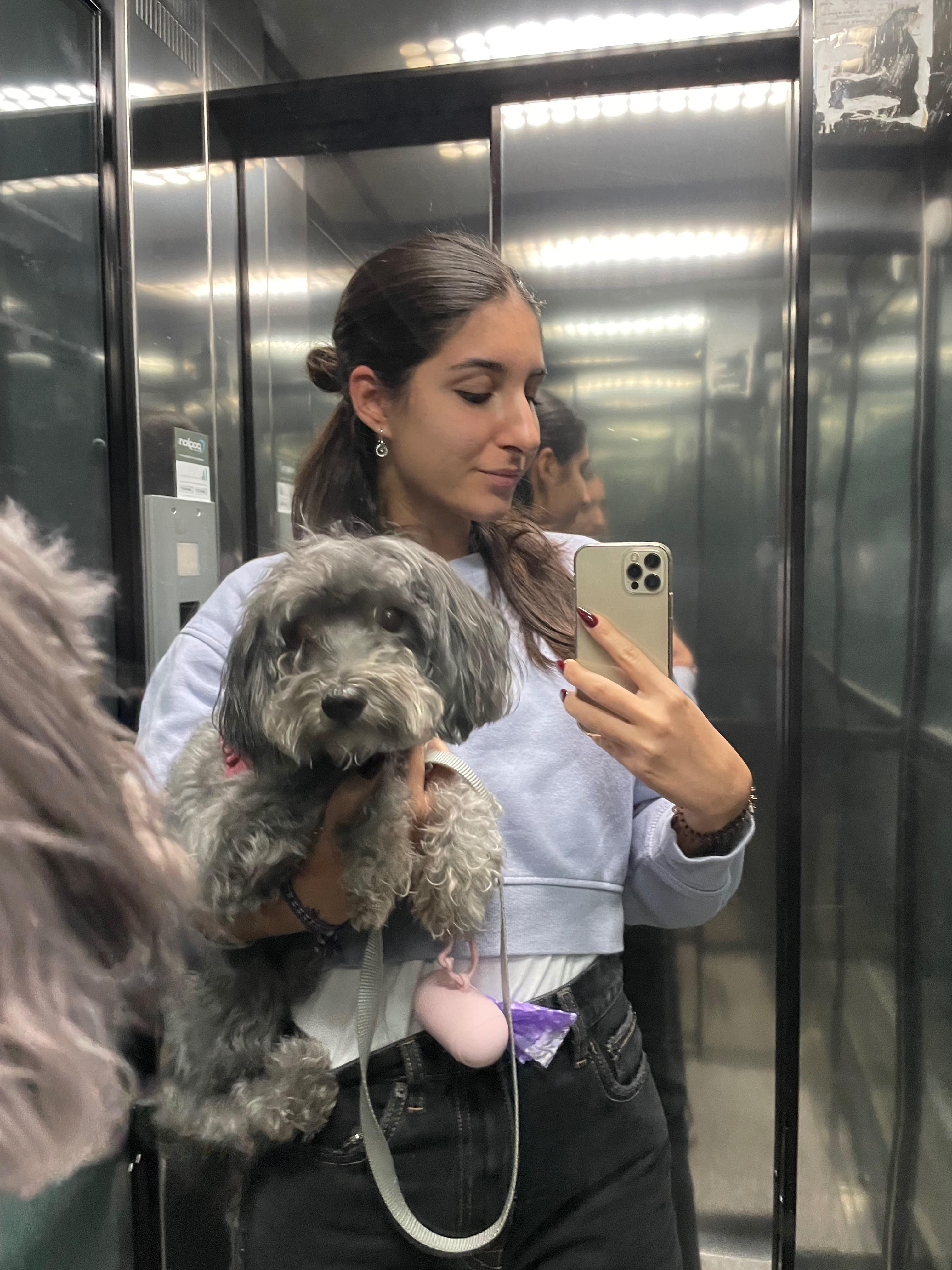 Miriana Saponaro image